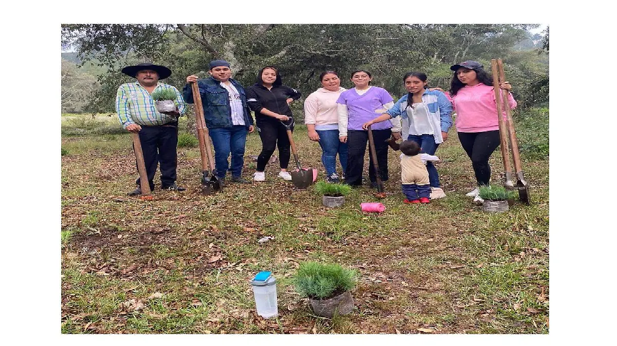 Jovenes reforestaqn